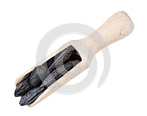 Dried tonka beans in wood scoop cutout