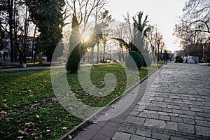 Dried trees and yellow leaves on bottom with green grass near cobblestone walking path. Bulgaria. Kardzali. 07.01.202