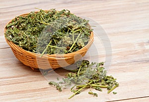 Dried Tribulus terrestris in the bowl