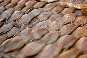 Dried Trichogaster pectoralis fish , Sun dried fish