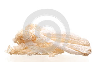 Dried Tropical Stinkhorn mushroom, Phallus indusiatus , Bamboo mushroom isolated on white