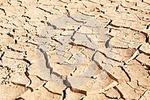 Dried up and cracked mud in dry waterhole