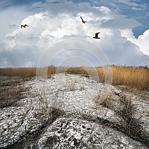 The dried up earth of old collieriy of Gorlovka