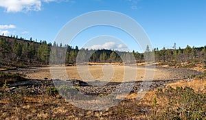 Dried-up Lake in Taiga Forest