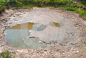 A dried-up pond in the countryside with green grass around the edges. Climate change, ecological catastrophe of the Earth, death o