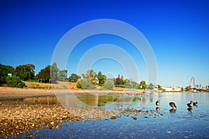 Dried up river bed, beach. Low water level of the Rhein dry river landscape, photo On the banks of the Rhine dried out in Cologne