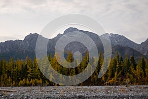 Dried up river bed in a rural countryside with the snowy mountains in the background. Majestic landscape with the rock road and