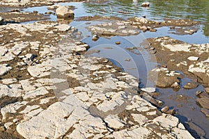 Dried up riverbed of the Elbe River in Magdeburg in Germany