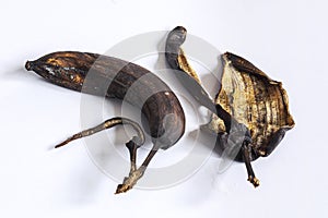 Dried up rotten decomposed banana and peel