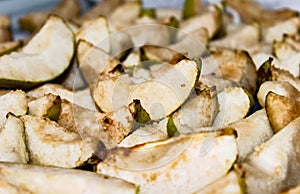 Dried up slices of pear before drying.