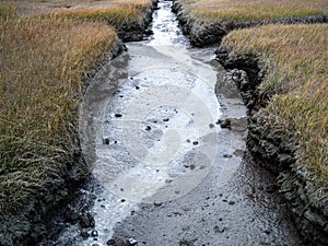 A Dried Up Stream Bed at Low Tide