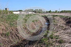 dried-up streambed in the summer in the grass with water