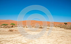 Dried-up water pan in the desert surrounded by sparse plant growth and sand dunes.