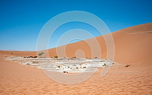 Dried-up water pan in the desert surrounded by sparse plant growth and sand dunes.