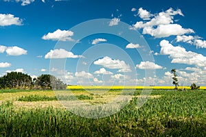 Dried up wet lands on the canadian prairies during a heat wave