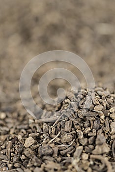 Dried Valerian roots as background image or as texture