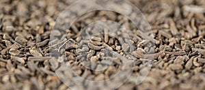 Dried Valerian roots as background image or as texture