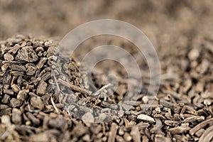 Dried Valerian roots as background image or as texture