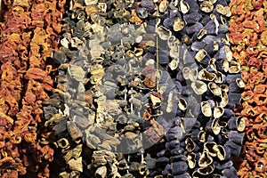 Dried vegetables hanging from above. Photographed in front of the market for sale.