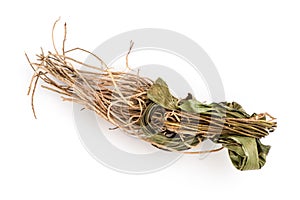 Dried vetiver grass or vetiveria zizanioides isolated on white background photo