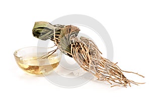 Dried vetiver grass or vetiveria zizanioides and oil isolated on white background photo