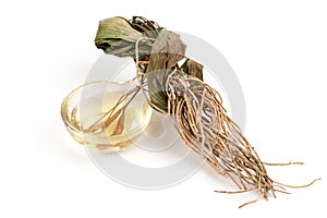 Dried vetiver grass or vetiveria zizanioides and oil  on white background photo