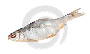 Dried vobla fish isolated