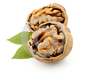 Dried walnut with leaf