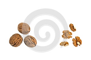 Dried walnuts with kernels on white background and copy space