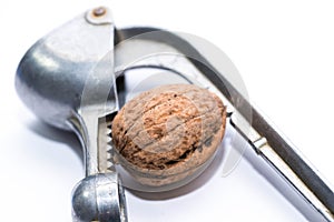 Dried walnuts in nutcracker close up macro shot
