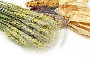 Dried wheat and corn