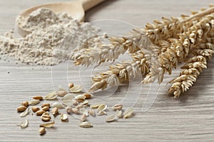 Dried wheat, seeds and flour