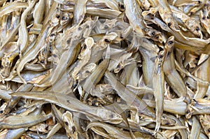 Dried Whisker Sheatfish