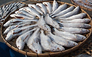 Dried Whisker Sheatfish the Food Preservation photo