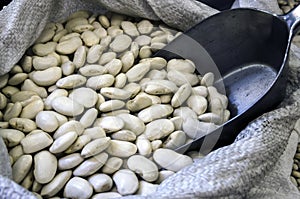 Dried white big beans in a bag