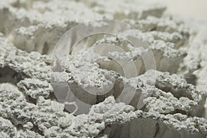 Dried white paint on the bristles of the roller macro