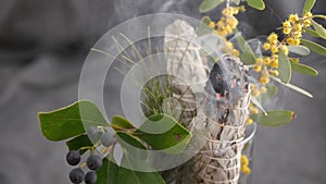 Dried white sage smudge stick, relaxation and aromatherapy. Smudging during psychic occult ceremony, herbal healing