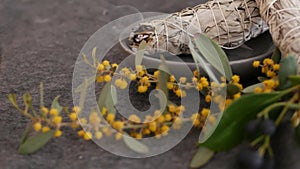 Dried white sage smudge stick, relaxation and aromatherapy. Smudging during psychic occult ceremony, herbal healing, yoga or aura