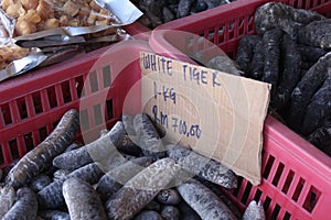 Dried white tiger sea cucumber used for food. photo