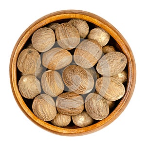 Dried whole nutmegs, fragrant or true nutmegs, in a wooden bowl