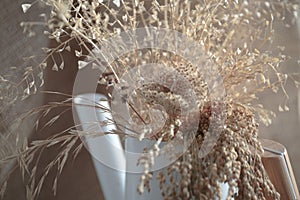 Dried wild carrot flowers together with dried grass and beige spikelets