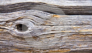 Dried wood background