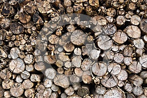 Dried wood log stack background