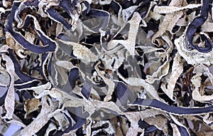 Dried Woodear Mushrooms up Close