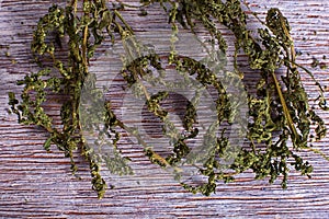 Dried wormseed herb photo