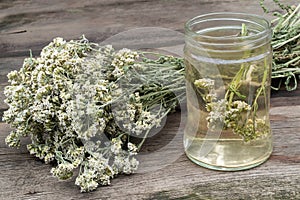 Dried yarrow and decoction for herbal medicine
