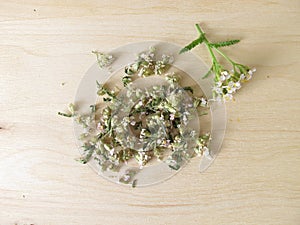 Dried yarrow herbs, Achillea millefolium