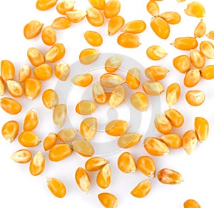 Dried yellow corn kernels on white background.