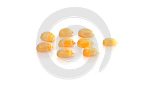 Dried yellow corn kernels on white background.