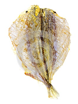 Dried yellow minke fish isolated on white